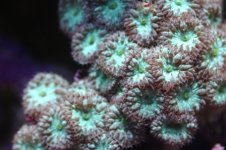 NEW NEW NEW  STOCK 010.jpg