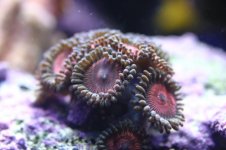 NEW NEW NEW  STOCK 011.jpg