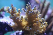 NEW NEW NEW  STOCK 012.jpg