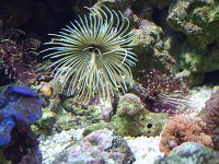 DSCF1603.JPG