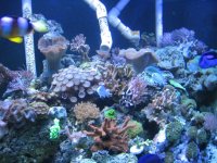 IMG_0023.JPG