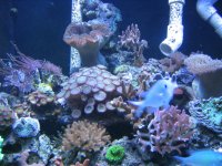 IMG_0011.JPG
