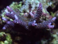 DSCF1647.JPG