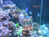 IMG_0021.JPG
