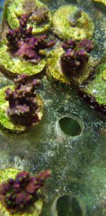 DSCF1658.JPG