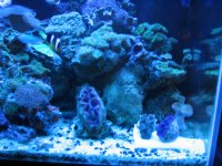 IMG_0002.JPG