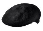 furgora cap 504 Black.jpg