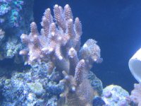 IMG_0056.JPG