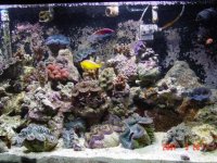 DSC00406 (2).JPG