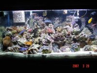 DSC00408 (2).JPG