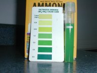 ammonia.jpg