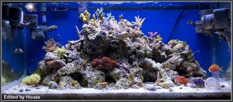 FTS2-Nov12.jpg