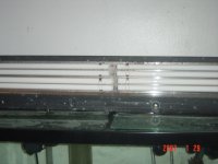 DSC08748.JPG