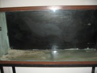 tank (500 x 375).jpg