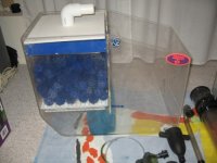 wet dry (500 x 375).jpg