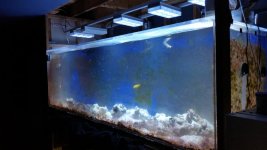 20151115_121606.jpg
