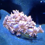 IMG_1365.jpg