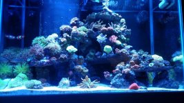 IMG_20160426_165105165.jpg