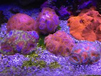 IMG_7086.jpg