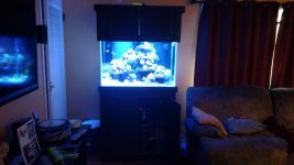 IMG_20160426_165021928.jpg