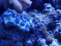 20160423_183252.jpg