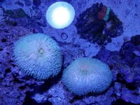 20160418_185704.jpg