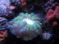 100_1730.jpg