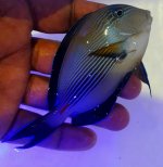 20160501_145143.jpg