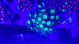 20161001_204325.jpg