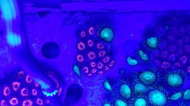 20161001_204337.jpg