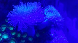 20161001_210549.jpg