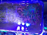 IMG_0334.jpg