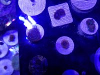 20161002_154222.jpg