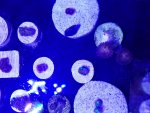 20161002_154210.jpg