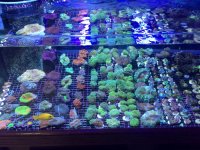 IMG_0085.jpg