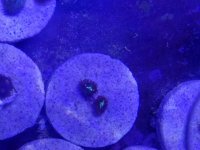 20161002_154127.jpg