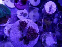 20161002_173130.jpg
