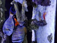 20160928_175747.jpg