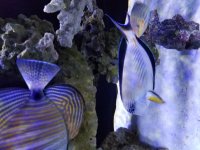 20160928_175803.jpg