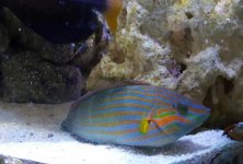 20160227_115154-1.jpg