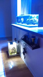 IMAG0392.jpg