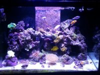 20131120_111757.jpg