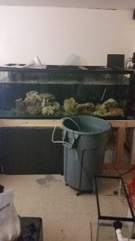 300g5.jpg