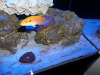 100_2177.jpg