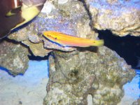 100_2184.jpg