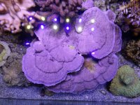 20160415_123744.jpg