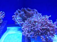 IMG_0657.JPG