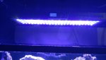 20160114_195822_resized.jpg