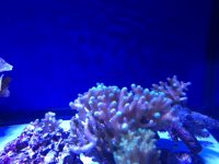 IMG_0659.JPG
