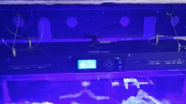 20160114_195909_resized.jpg